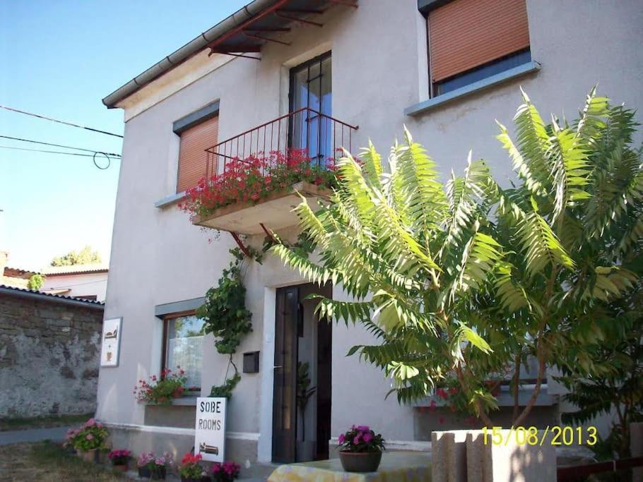 Cozy Rooms In Nature, Perfect For Relax Ilirska Bistrica Extérieur photo