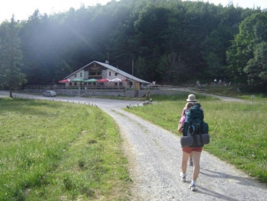 Cozy Rooms In Nature, Perfect For Relax Ilirska Bistrica Extérieur photo