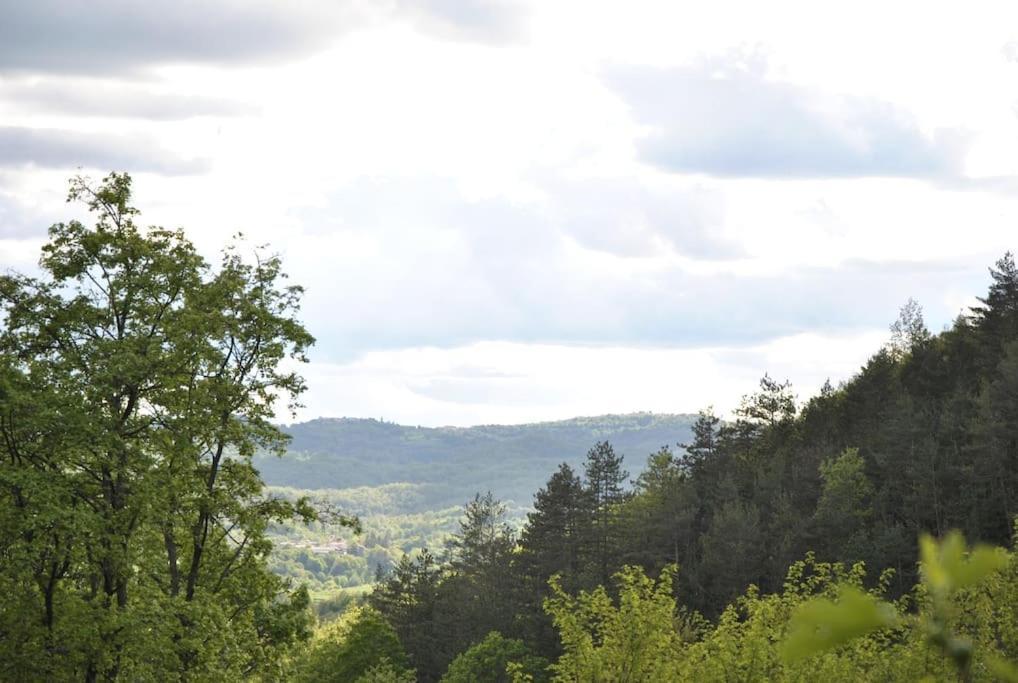 Cozy Rooms In Nature, Perfect For Relax Ilirska Bistrica Extérieur photo